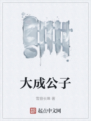 大成公寓精装情况